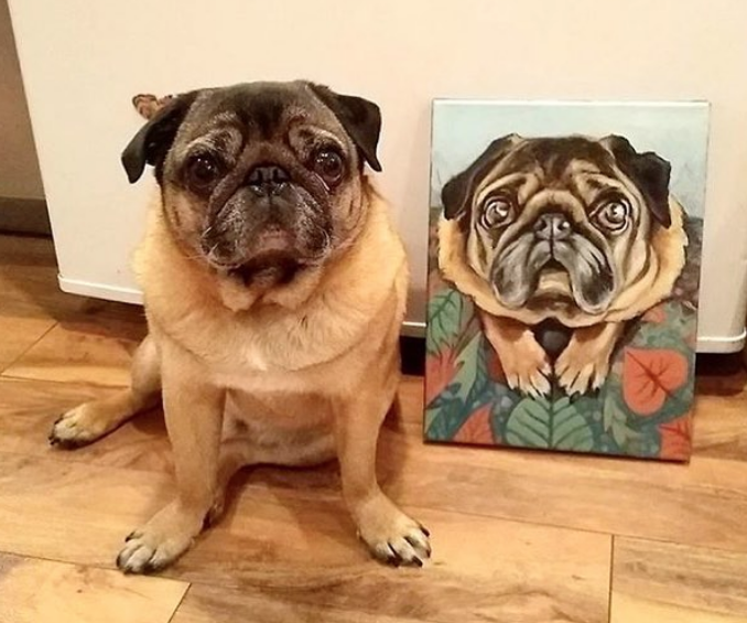 Dear pug meatball posing with his new pet portrait. North Park Art Studio